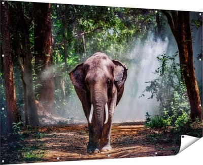 Gards Tuinposter Olifant in het Bos - 180x120 cm - Tuindoek - Tuindecoratie - Wanddecoratie buiten - Tuinschilderij