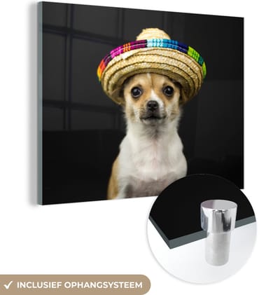MuchoWow® Glasschilderij 160x120 cm - Schilderij acrylglas - Hond - Sombrero - Zwart - Foto op glas - Schilderijen