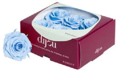 6x Dc pres.rozen light blue 0291c