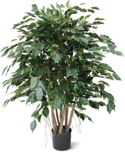 Ficus Exotica XL kunstplant 110cm