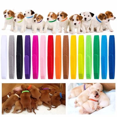 Allecto - Verstelbare Puppy Halsbanden - Multicolor Nylon - Ideaal voor Nieuwe Huisdieren - Comfortabel en Duurzaam - Geschikt voor Puppies - Meerd...