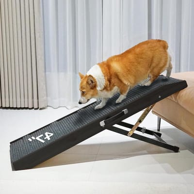 Honden Oprit - Hondenhelling - Veilig Instappen - Opvouwbaar Ontwerp - 124 cm Lengte - Zwart