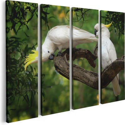 Artaza Canvas Schilderij Vierluik Twee Witte Kaketoes in de Bomen - 80x60 - Foto Op Canvas - Canvas Print