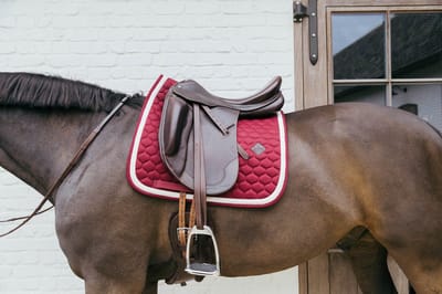 Kentucky Horsewear - Zadeldek - Zadeldoek met Gevlochten Koord - Dressuur - bordeaux