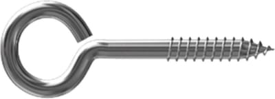 Schroefoog RVS 6.0 x 50 mm (2 stuks)