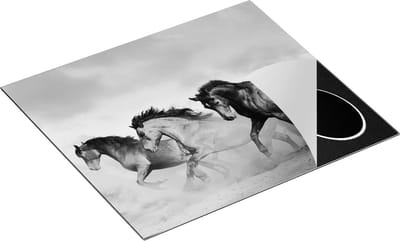 Chefcare Inductie Beschermer Drie Bruine Paarden - Zwart Wit - 60x50 cm - Afdekplaat Inductie - Kookplaat Beschermer - Inductie Mat