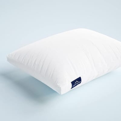 Luxe Dons Kussen 60x60 cm Natuurlijk Anti-Allergisch Voor Zij- en Rugslapers