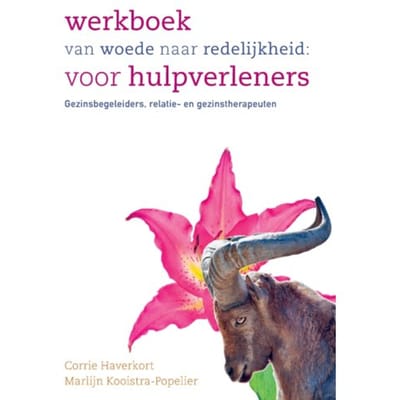 Werkboek Van Woede Naar Redelijkheid: Voor Hulpverleners - Corrie Haverkort