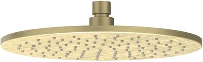 IVY Toebehoren Hoofddouche medium 25cm met antikalk nozzels RVS316 geborsteld mat goud PVD
