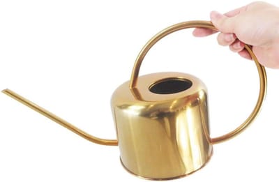 Roestvrijstalen Gietpot - Waterplanten Houder - Planten Water Geven - Lange Nauwkeurige Tuit - 900 ml Capaciteit - Goudkleurig