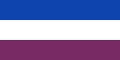 Vlag Montigny-le-Tilleul 100x150cm
