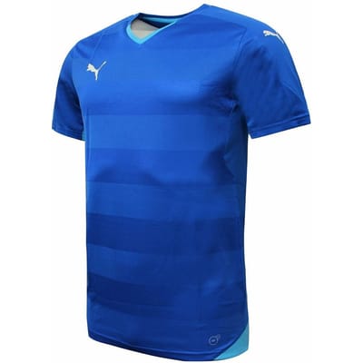 Puma DryCell Korte Mouw Pullover V-Hals Blauw Heren T-shirt 702064 02