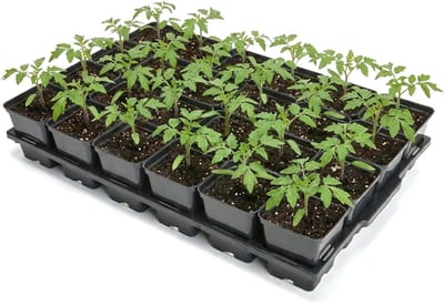 Garronda Kweektray met 24 x 0,5 L vierkante potten GD-KW-T