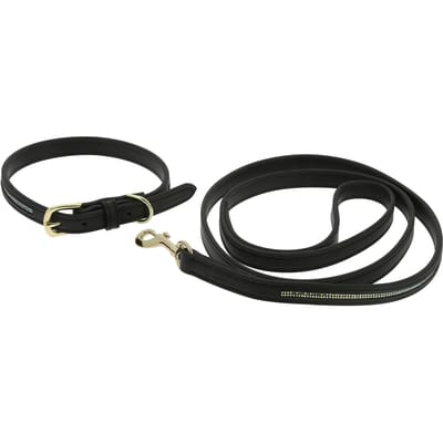 Halsband en lijn voor hond Equithème Max