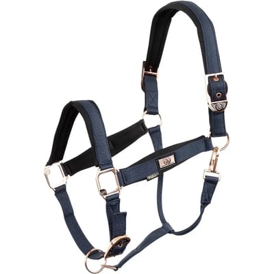 Halster voor paarden BR Equitation Rose Gold
