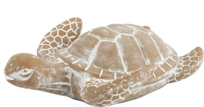 Zeeschildpad Nabil S grey-wash