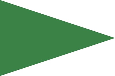 Groene Puntvlag 50x75cm