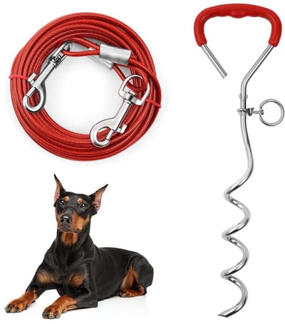 Aomig 20FT (6M) Hond Tie Out Kabel met Spiraal Grond Stake, Heavy Duty voor Outdoor Yard