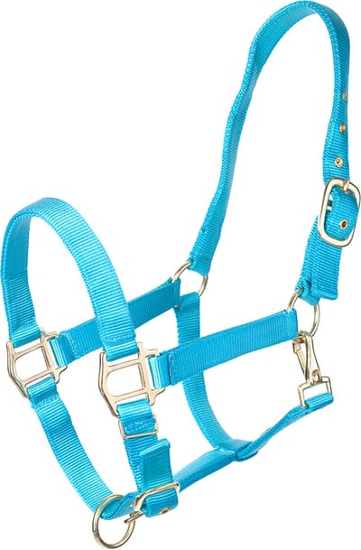 MHS Halster Fancy Aqua Cob