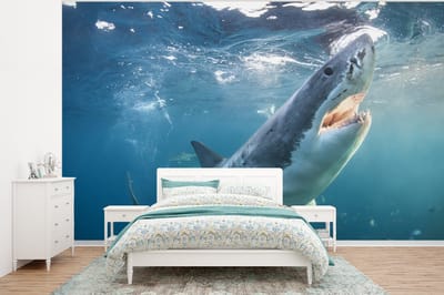 Behang - Fotobehang Grote witte haai vlakbij het wateroppervlak - Breedte 400 cm x hoogte 300 cm