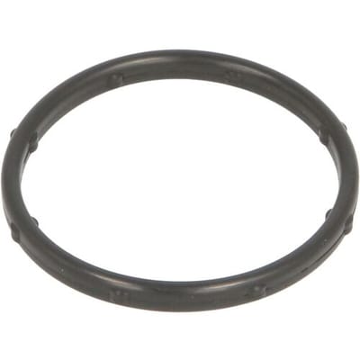 Afdichtring, thermostaathuis ELRING 326.310