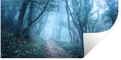 Muurstickers - Sticker Folie - Bomen - Natuur - Mist - 40x20 cm - Plakfolie - Muurstickers Kinderkamer - Zelfklevend Behang - Zelfklevend behangpapier - Stickerfolie