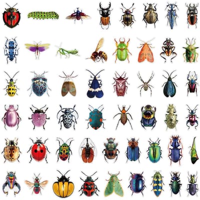 50 Stuks Insecten Thema Stickers - Unieke Kevers Patroon Decals Voor Notitieboek Bagage Doe-het-zelf Decoratie Sticker Story Store