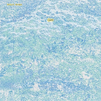 Emily A. Sprague - Cyano (LP)