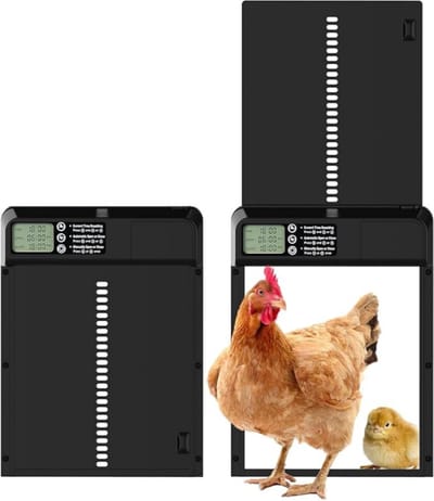 Kippenluik Automatisch – met Timer – LED-Scherm – Weerbestendig & Duurzaam – Anti-Klem functie – Aluminium - Zwart