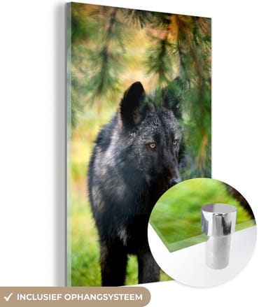 MuchoWow® Glasschilderij 40x60 cm - Schilderij acrylglas - Wolf - Macro - Bladeren - Foto op glas - Schilderijen