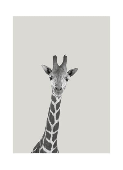 HappyBook - Notitieboek - Dieren - Giraffe - Grijs - Gelijnd - School - Studie - Werk - Boekenlegger - Elastiek - Lijntjes - Schrijven - Zakelijk - Business - Relatiegeschenk - Business - Notities - Herinneringen - Travel - Journal - Dieren - Reizen