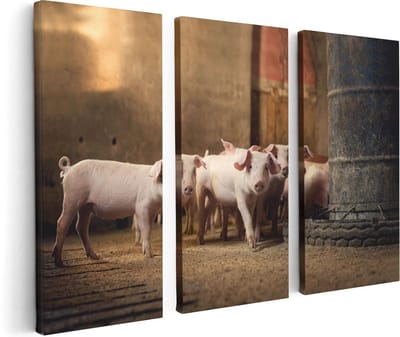 Artaza Canvas Schilderij Drieluik Varkens op een Boerderij Stal - 120x80 - Foto Op Canvas - Canvas Print