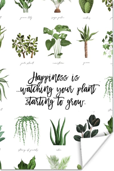Poster Spreuken - Happiness is... watching your plant starting to grow - Quotes - 120x180 cm XXL