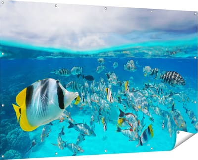 Gards Tuinposter Zwerm Gele Vissen in het Water - 180x120 cm - Tuindoek - Tuindecoratie - Wanddecoratie buiten - Tuinschilderij