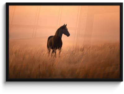 Poster in lijst - Fotolijst 90x60 cm - Posters - Paard - Grasveld - Zonsondergang - Posterlijst zwart - Decoratie - Wanddecoratie woonkamer - Muurdecoratie slaapkamer