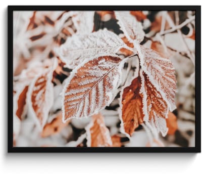 Poster in lijst - Fotolijst 70x50 cm - Posters - Bladeren - IJs - Winter - Natuur - Posterlijst zwart - Decoratie - Wanddecoratie woonkamer - Muurdecoratie slaapkamer
