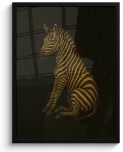 Poster in lijst - Fotolijst 50x70 cm - Posters - Zebra - Strepen - Goud - Posterlijst zwart - Decoratie - Wanddecoratie woonkamer - Muurdecoratie slaapkamer