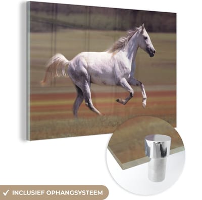 MuchoWow® Glasschilderij 30x20 cm - Schilderij acrylglas - Paard - Licht - Gras - Foto op glas - Schilderijen