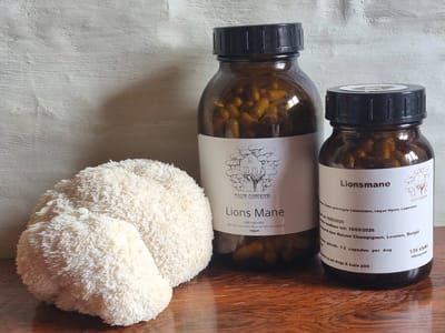 Lion's mane Capsules 120 stuks - biologisch en lokaal - ENERGIE, FOCUS EN HELDERHEID - 500mg