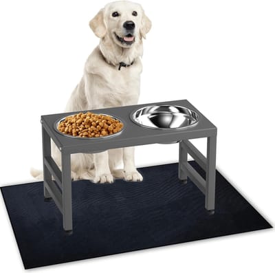 Verhoogde Metalen Hondenvoerbak met 2 RVS kommen en Antislipmat - 25,4 cm Hoogte