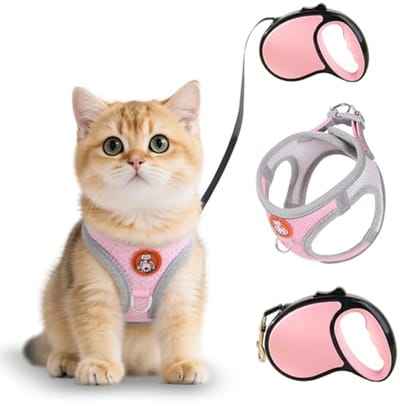 Kattenharnas met intrekbare riem 5m - Verstelbaar en ademend vest voor katten