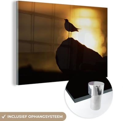 ® Glasschilderij 180x120 cm - Schilderij acrylglas - Lachmeeuw bij de zonsondergang - Foto op glas - Muurdecoratie woonkamer - Wanddecoratie slaapkamer - Schilderijen