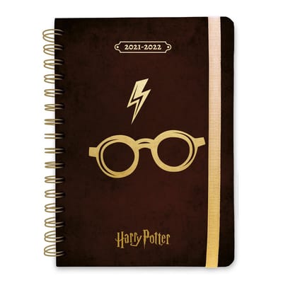 Harry Potter - Harry's Glasses 2021/2022 A5 Academisch Dagboek