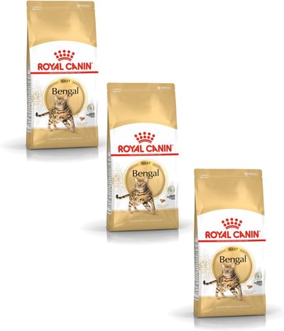 Royal Canin Bengal Adult - Kattenvoer - 3 x 2 kg