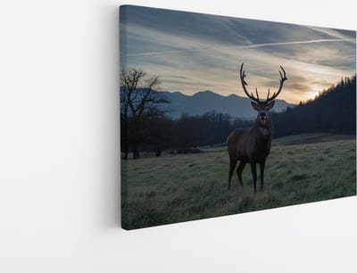 Saammp Canvas Schilderij - Hert - Zonsondergang - Natuur - Dieren - 45x30 - Foto op canvas - Wanddecoratie - Muurdecoratie Woonkamer - Slaapkamer decoratie - Canvas Print