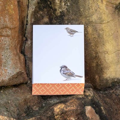Bekking & Blitz - Memoblok - Memo blocnote - Notitieblok - Kunst - Dieren - Vogel - Huismus - Elwin van der Kolk - Vogelbescherming Nederland - Uniek design
