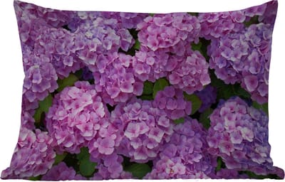 Buitenkussens - Tuin - Bloemen - Hortensia - Struik - Roze - Bloemblaadjes - 50x30 cm
