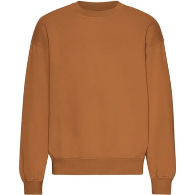 Oversized sweatshirt met ronde hals Colorful Standard Organic Ginger Brown