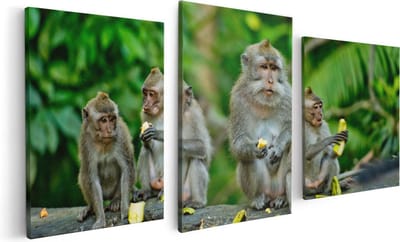 Artaza Canvas Schilderij Drieluik Groep Apen Eten Bananen In Het Bos - 120x60 - Foto Op Canvas - Canvas Print