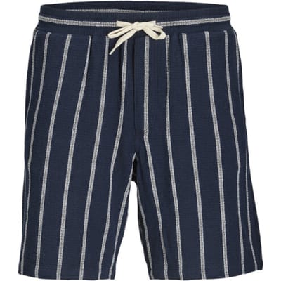 Jack & Jones Jpstjaiden coba stripe jog shorts reg sn dessin